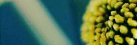 MarjonDonder's profile banner image