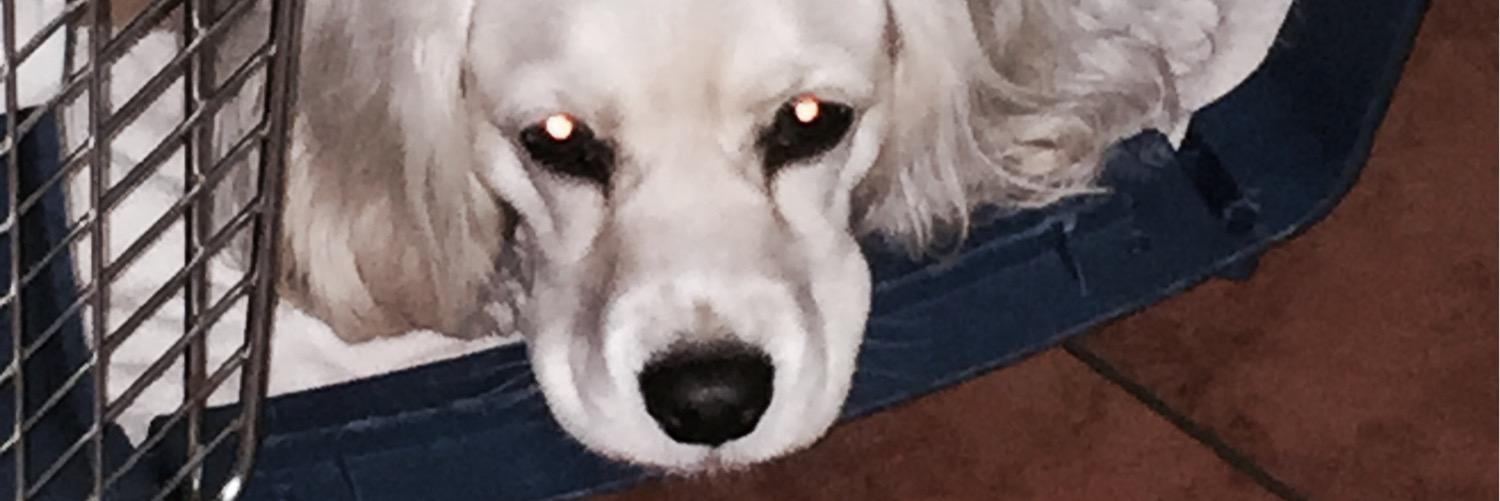 robbritt's profile banner image