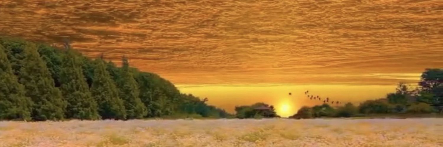 SIЯ JОGGУ rarely seen banner