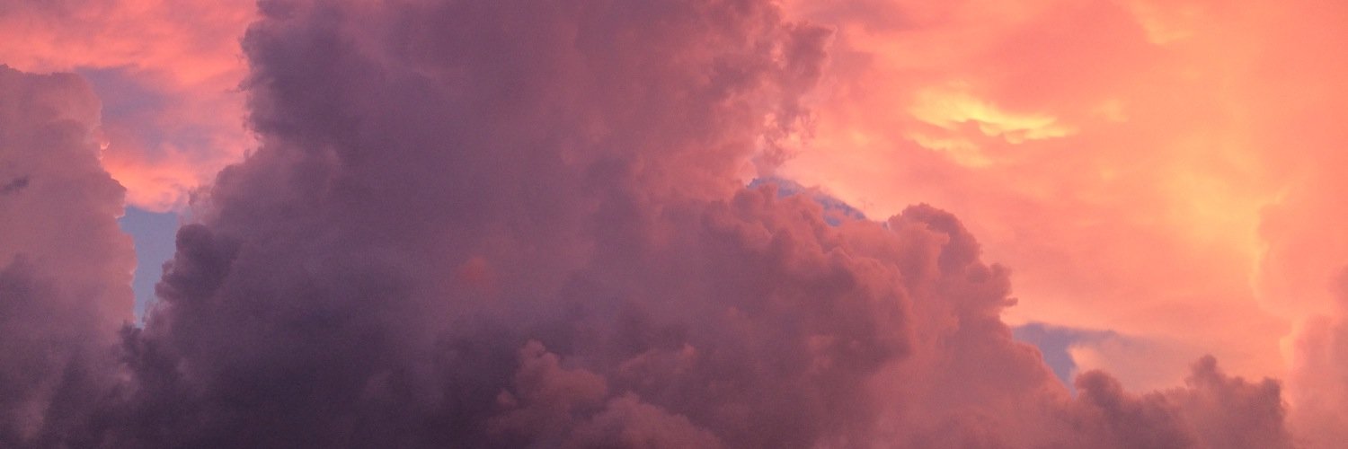 Aimee_Peters's profile banner image