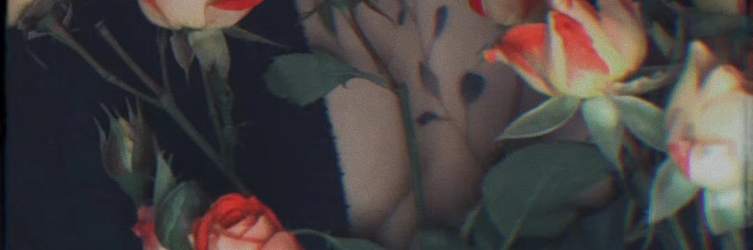 Veronannnnnnn_ banner