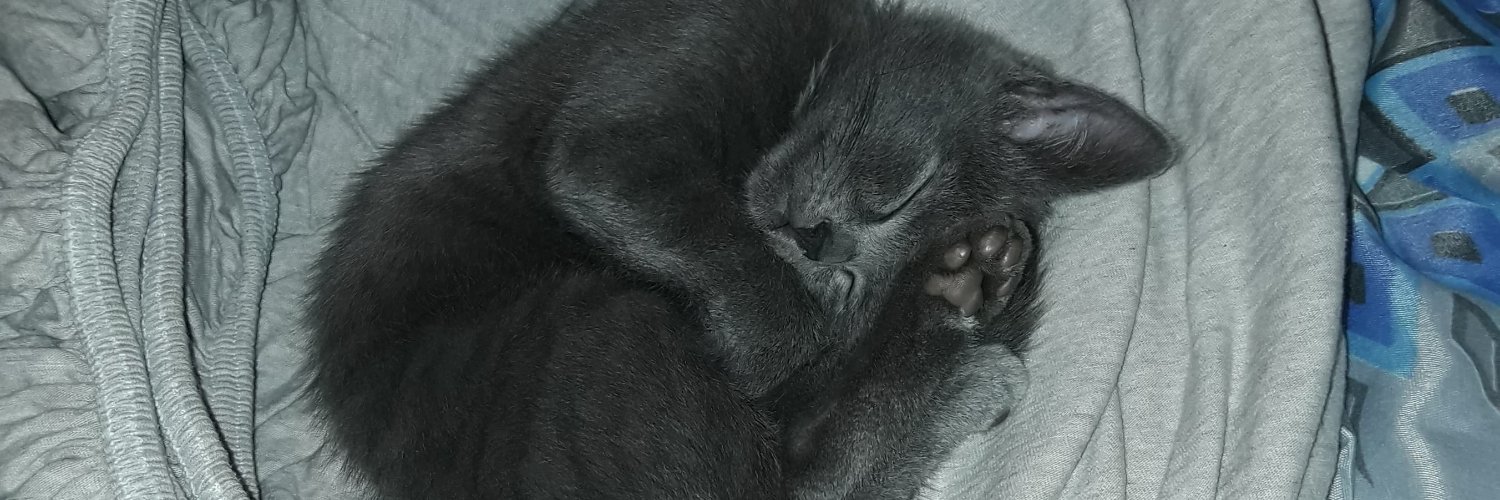 Naaadaaash's profile banner image