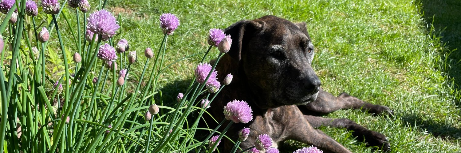 Scott Younger banner