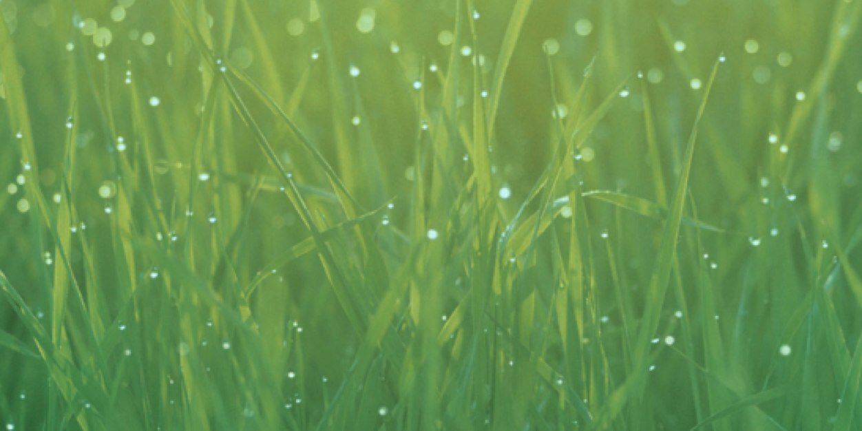 alfredp33's profile banner image