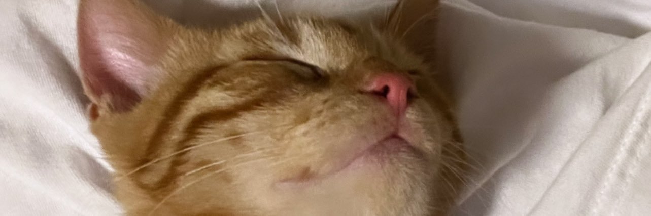 jvmmyy's profile banner image
