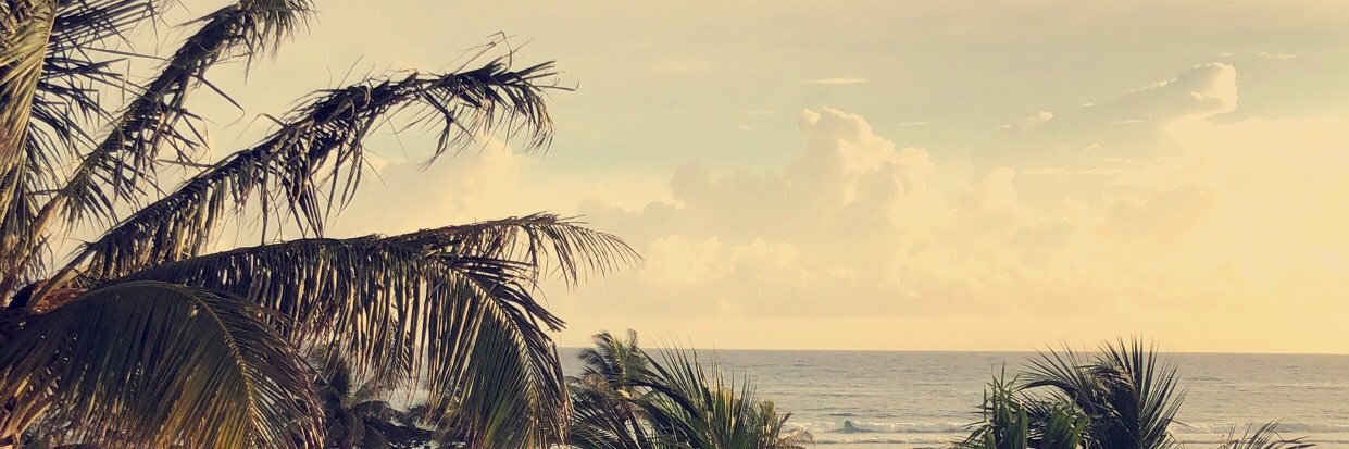 emshizzleee's profile banner image