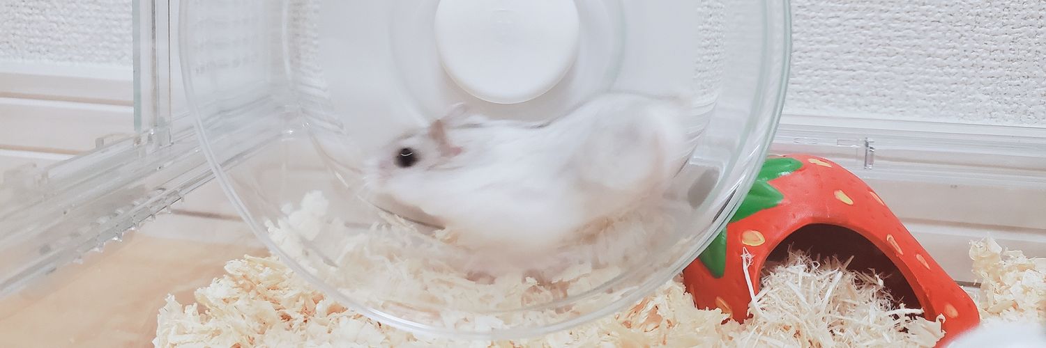 thisismutou's profile banner image