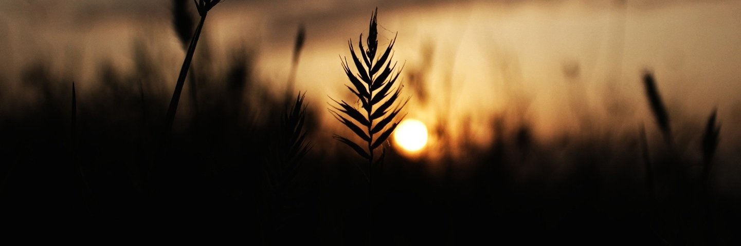 AliiColbert's profile banner image