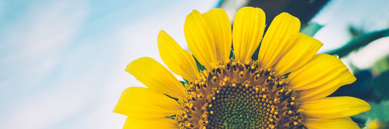 gazz_ie's profile banner image