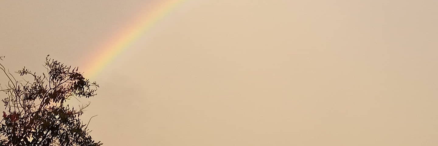 Ekin 🌻🌻🌻🌻 banner