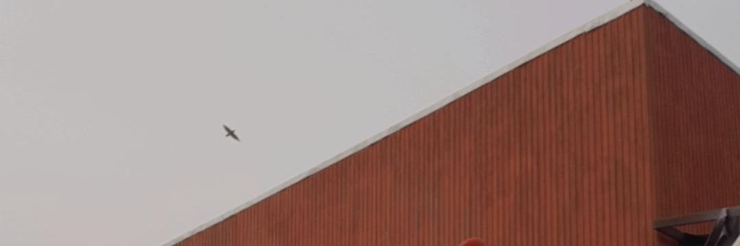 syashacc's profile banner image