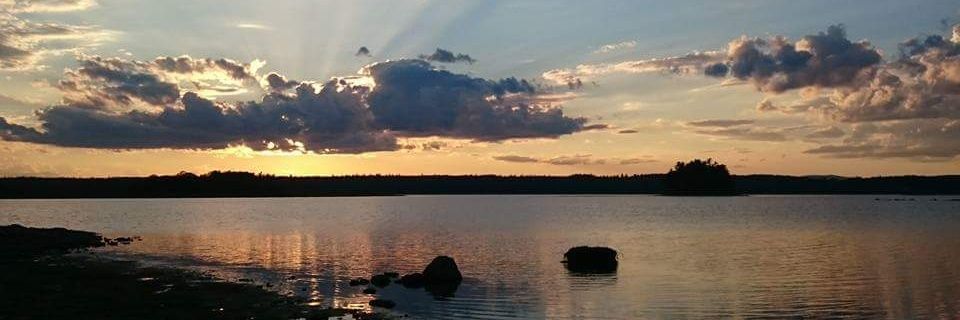 Debra Brown 🐝 banner