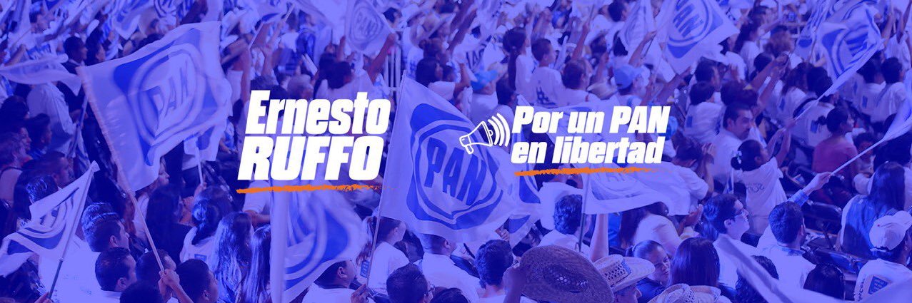 Ernesto Ruffo Appel banner