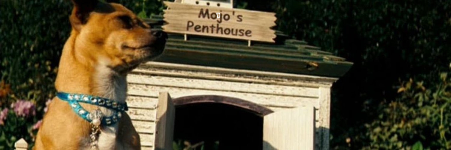 The_Modjo_'s profile banner image