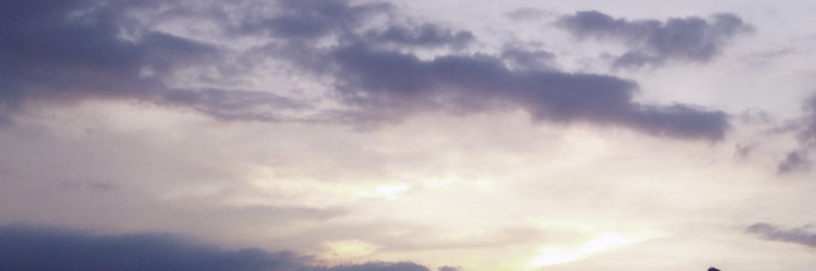 PooCat_ banner