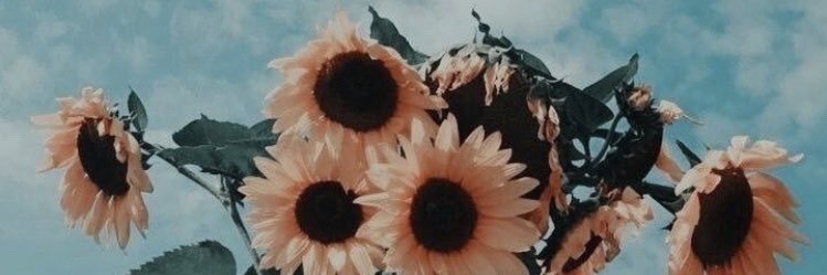 nuriahervas's profile banner image