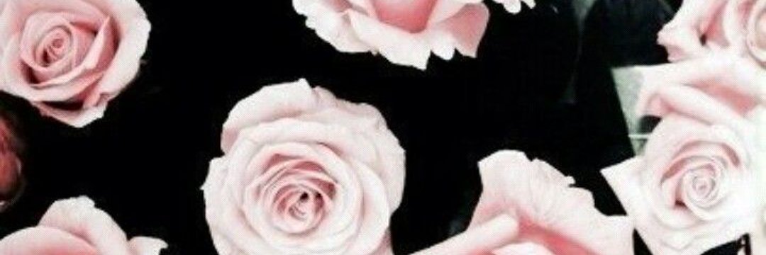 carmenbriblibli's profile banner image