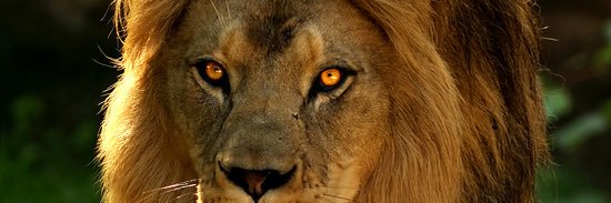 nachodorado21's profile banner image