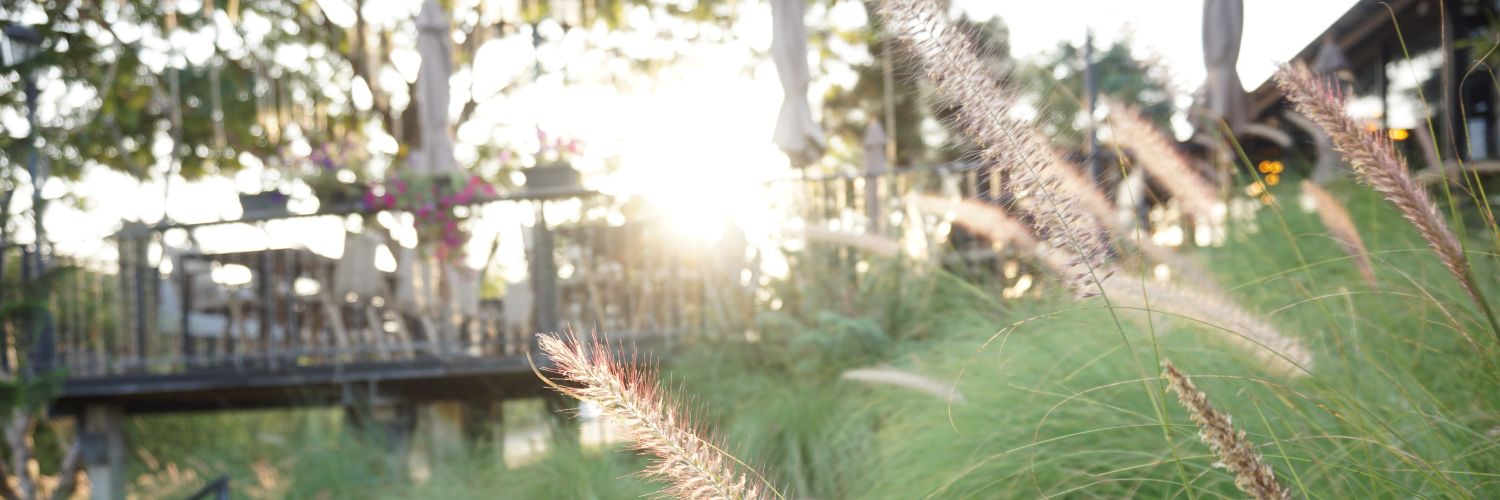 มะมี๊รักปิ๊ปป๋อนะครับ💚 banner