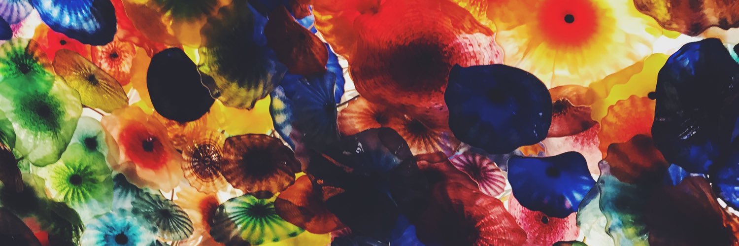 Lexie Van Polen banner