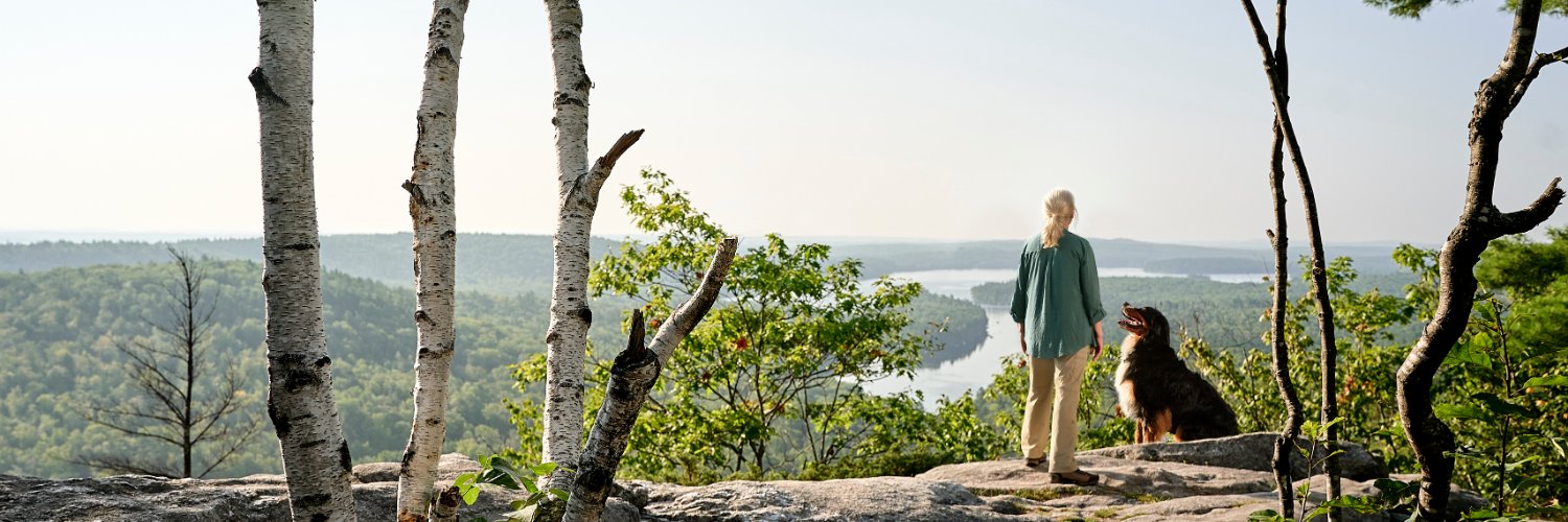 Northern Light Health banner