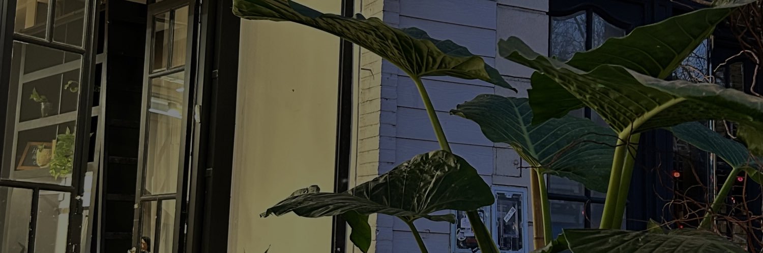 florccabrera's profile banner image