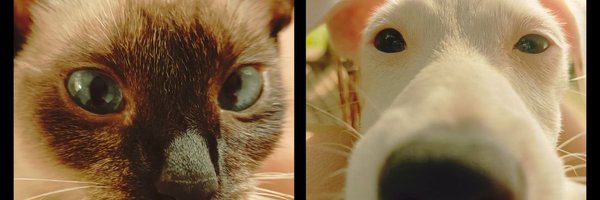 benkacee Profile Banner