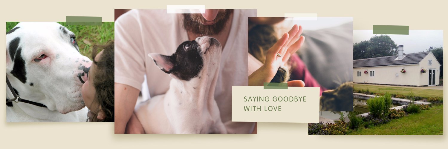 AllPetsAtPeace's profile banner image