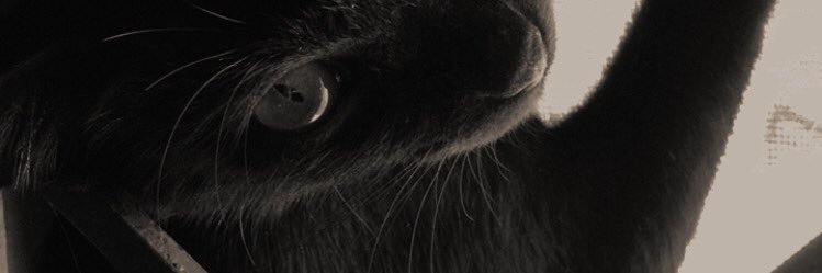 saenduewichi's profile banner image