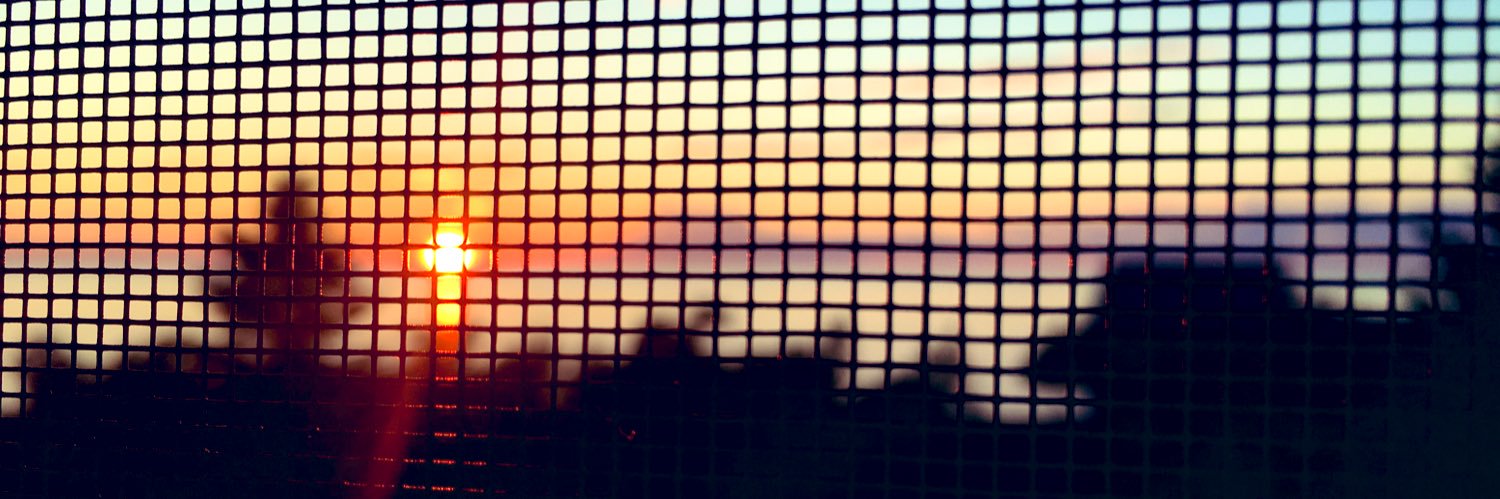 NaudEmily's profile banner image