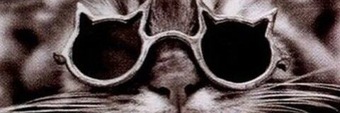 ViviJunqueira's profile banner image