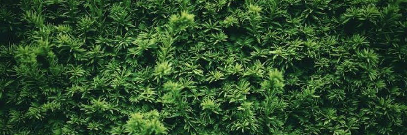 Skipperrd_7's profile banner image