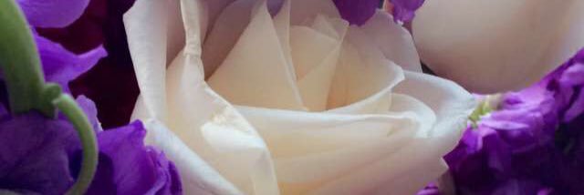 KaraaShipley's profile banner image