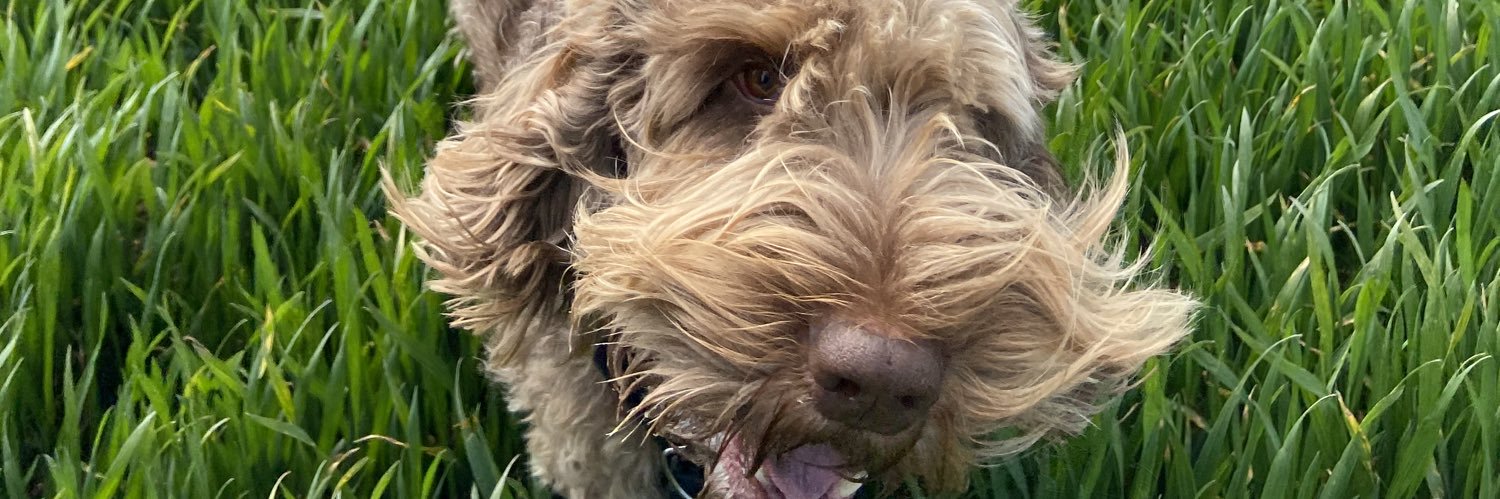 ella_jude's profile banner image