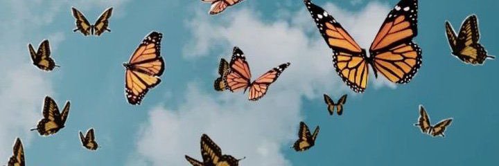 💓💓💓 banner