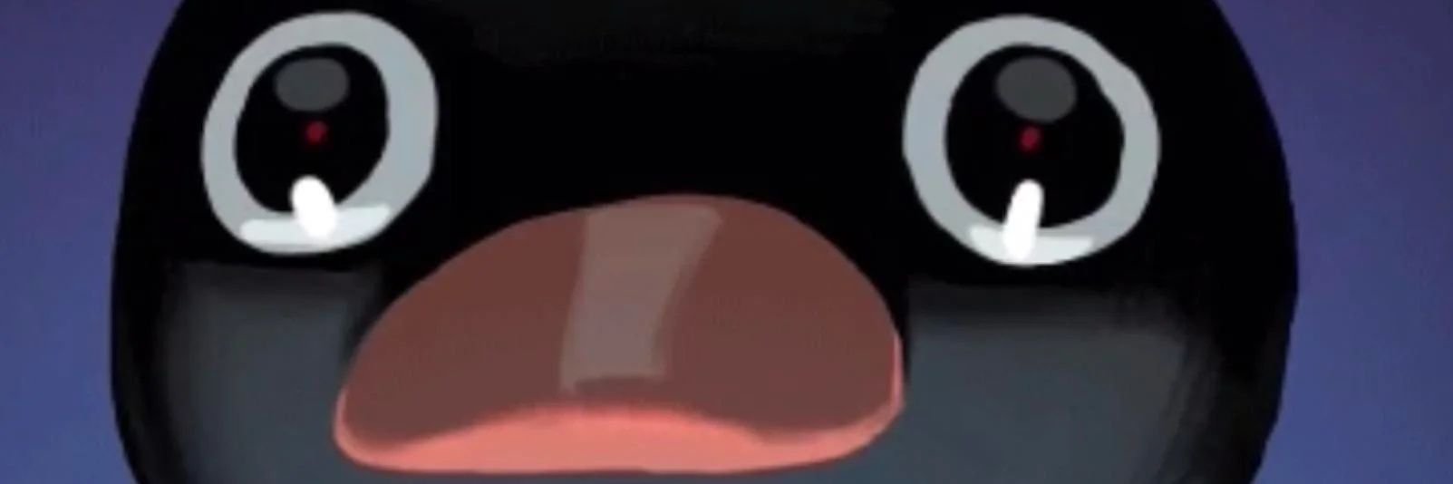 zeeeeeeeb's profile banner image