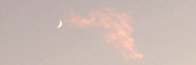 sarpaigegordon's profile banner image