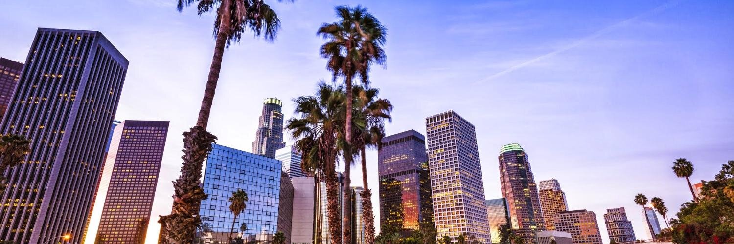 GoogleLocalLAX's profile banner image