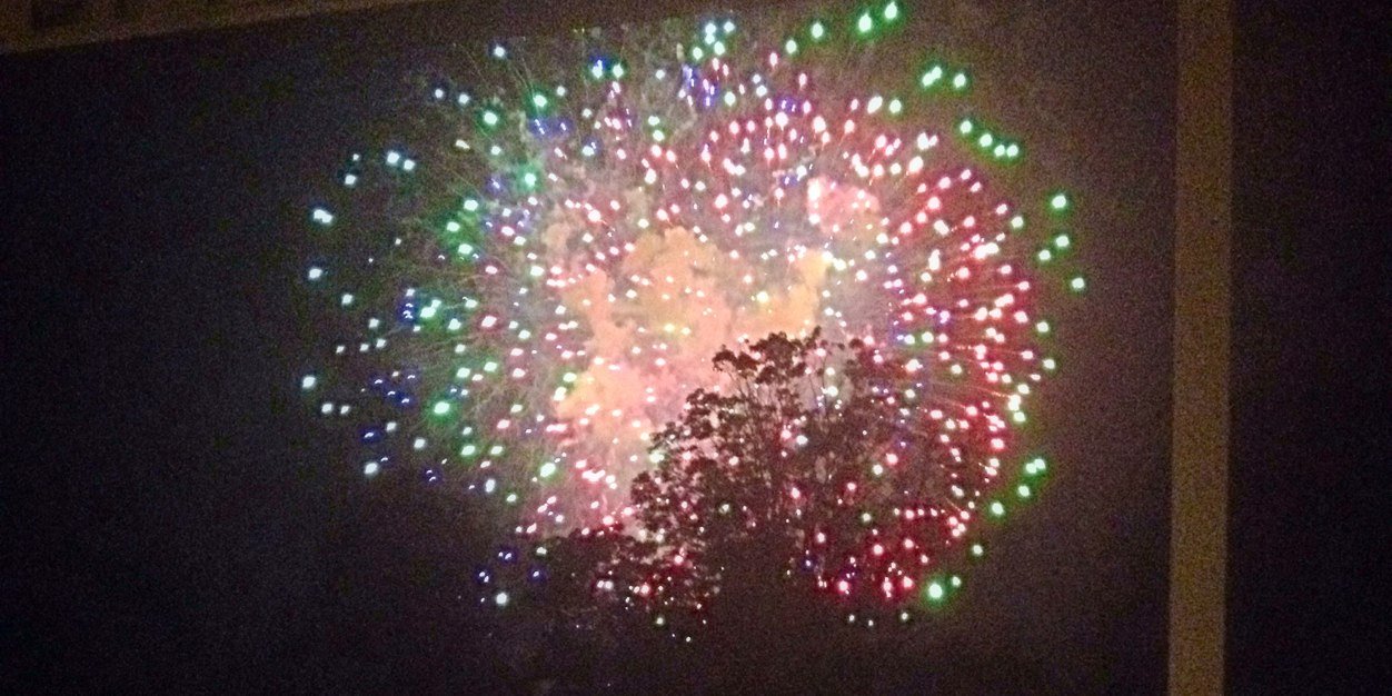 Elizabeth Larson banner