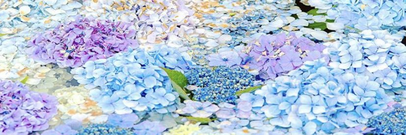 dddpm_so's profile banner image