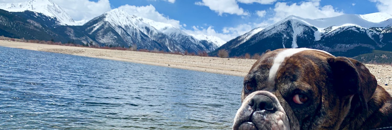 CaraCheevers's profile banner image