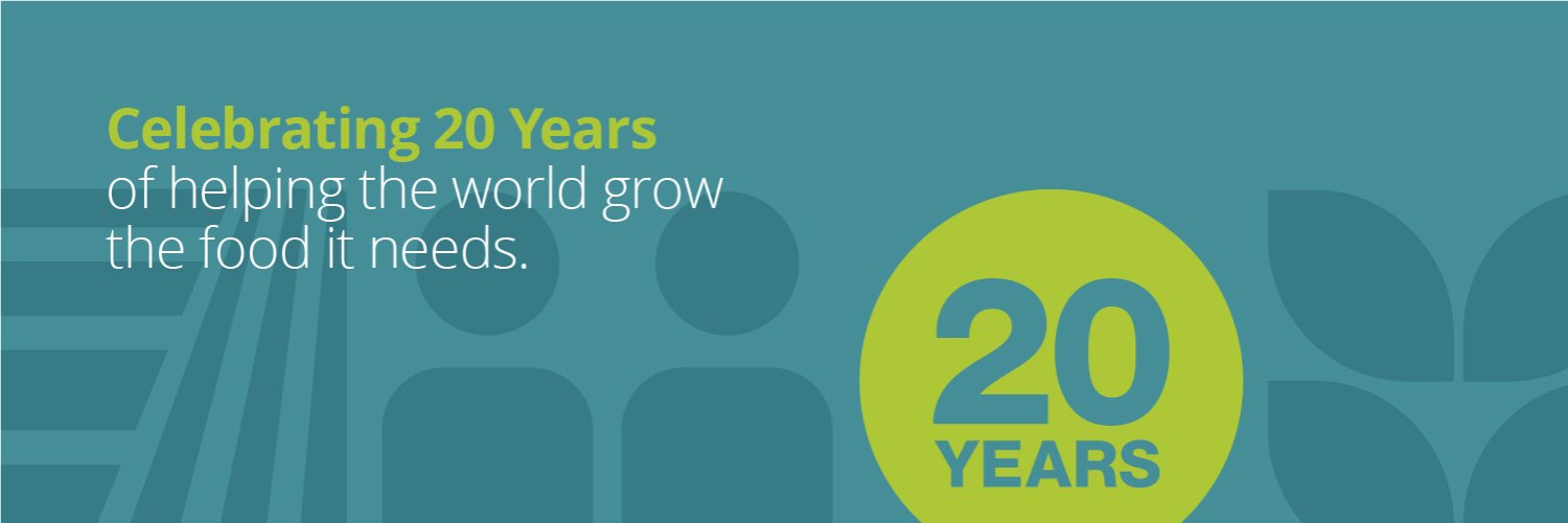 Mosaic in Florida banner