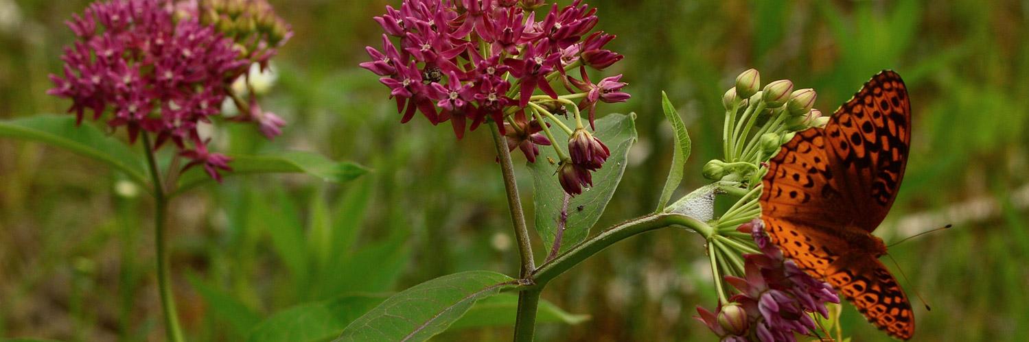 TNC in Indiana banner