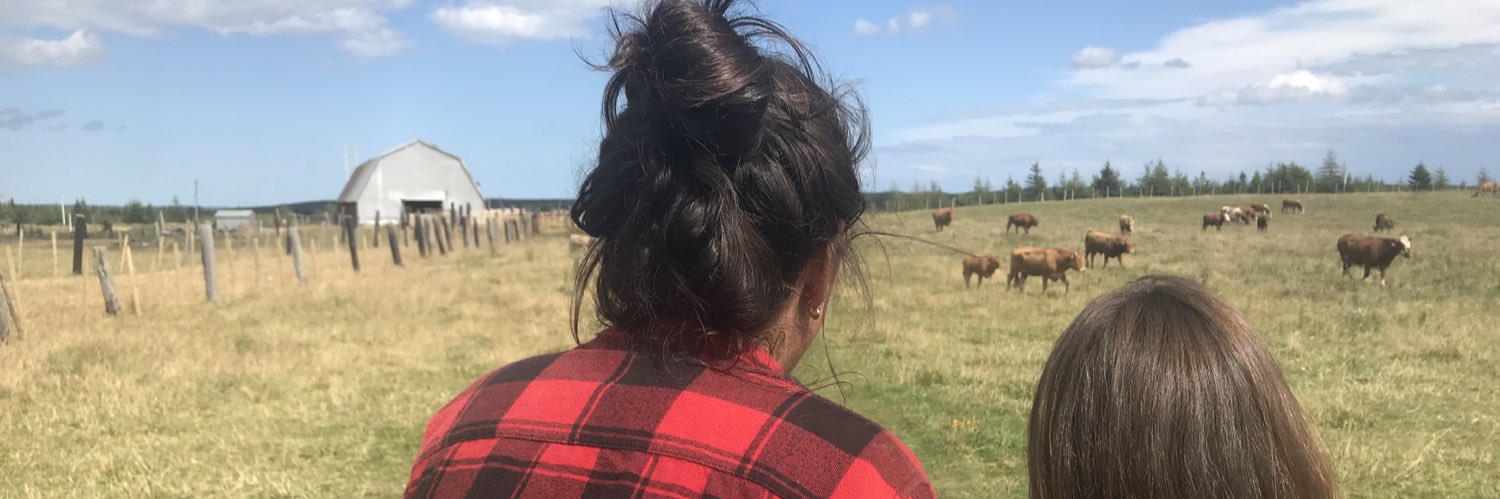 Calliemacc's profile banner image