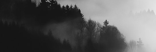 nasnasird's profile banner image