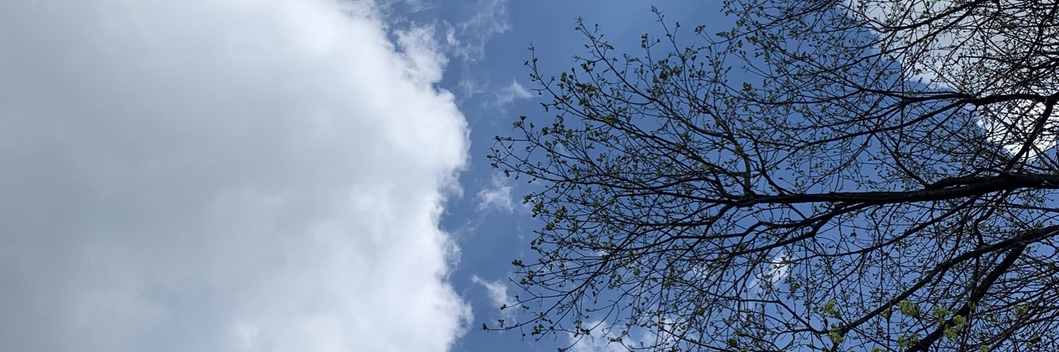 jaimburrowes's profile banner image