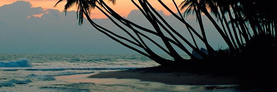 rrruth14's profile banner image