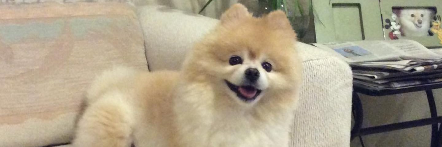 Jenman27's profile banner image