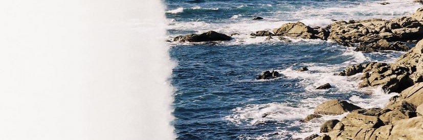 paulaf8a's profile banner image