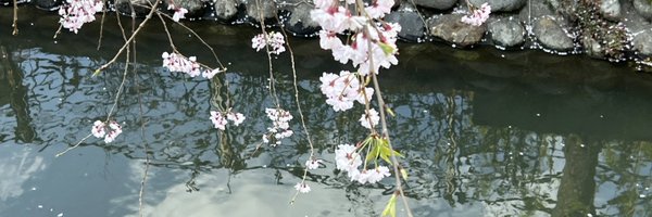 meltytea Profile Banner